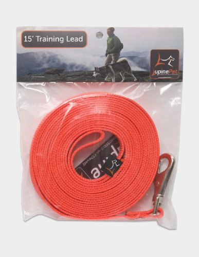 Lupine 3/4" Basics Collection - Blaze Orange, 15' Training Lead