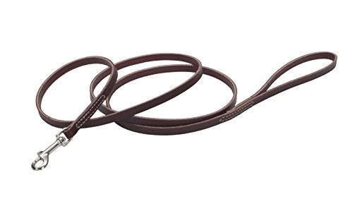 Latigo Training Leash 6'X1/2"