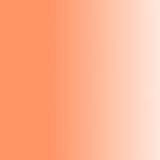 Fleshtone Chefmaster Airbrush Color, 9 oz