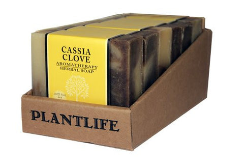 Soap - Cassia Clove, 4 oz (Pack of 6)