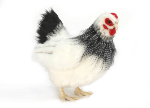 FRENCH HEN BLK/WHT 12''