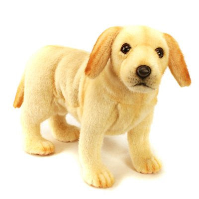 LABRADOR PUPPY 14'' L