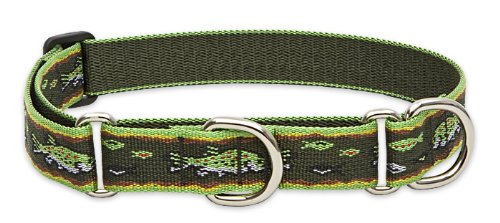 Lupine 1" Originals Collection - Brook Trout, 15"-22" Combo Collar