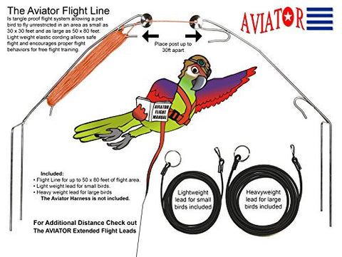 Aviator Flight Line Flight Line