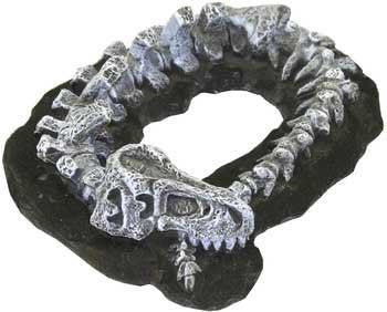Fossil Finds Dinosaur Skeleton 5 x 3.75 x 1.5