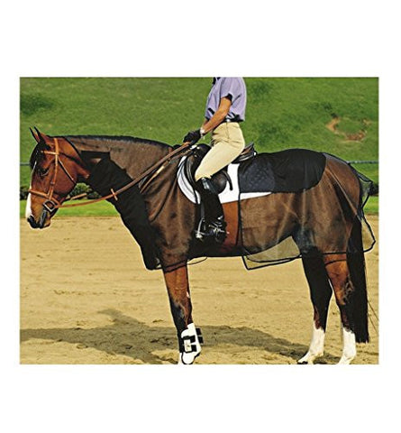 Cashel Quiet Ride Bug Armor - 2 Piece Set