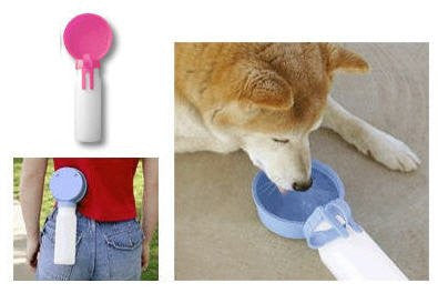Water Rover - Regular 4" Bowl, 15 oz Bottle - Hot Pink