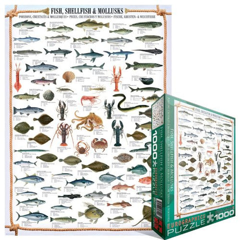 Fish, Shellfish & Mollusks 1000 pc