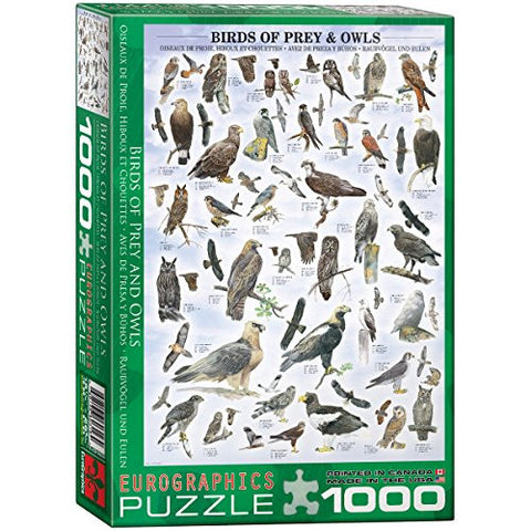 Birds of Prey & Owls 1000 pc