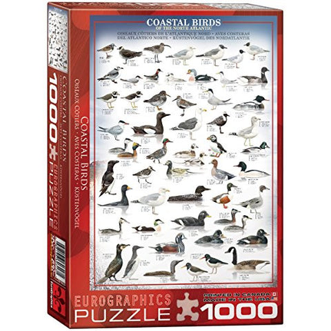 Coastal Birds of the North Atlantic 1000 pc