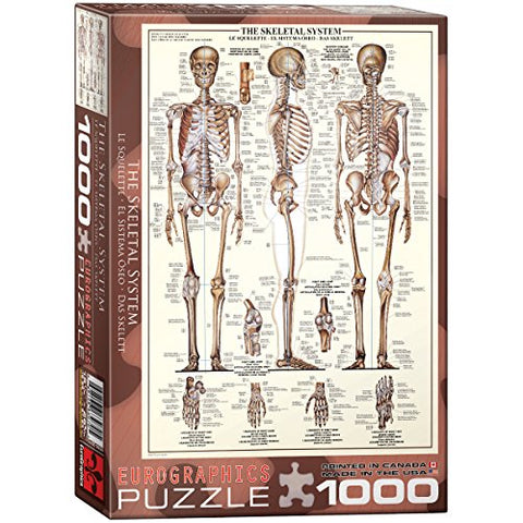 The Skeletal System 1000 pc 10x14 inches Box, Puzzle