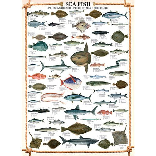 Sea Fish 1000 pc