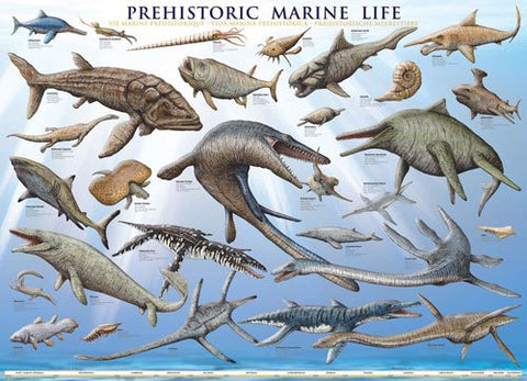 Prehistoric Marine Life 1000 pc