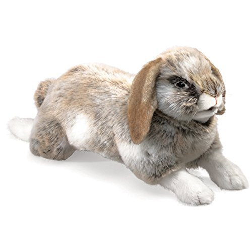 Rabbit Holland Lop, Hand Puppets