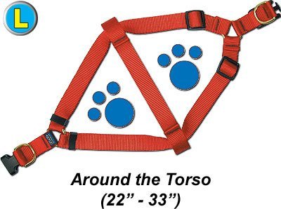 Step-In Harness, 1" x 22-33" - Step 5 Baby Blue, Large