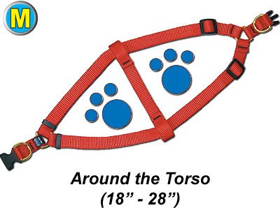 Step-In Harness, 3/4 x 18-28" - Turquoise, Medium