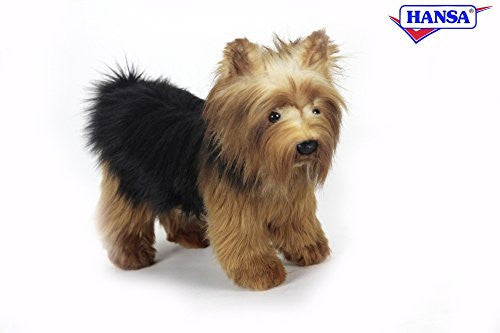 YORKSHIRE TERRIER 10''L