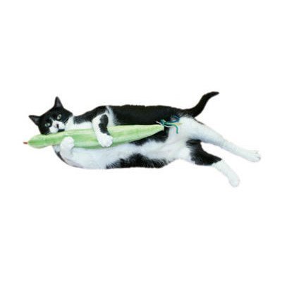 Cat 'n Around - Non Refillable (on Hang Tag) Slither 'n Snake Catnip Toy