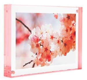 Color Edge Magnet Frame, 4 x 6 inches, Rose