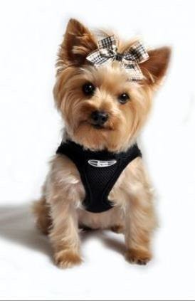 Ultra USA Choke Free Dog Harness, Stretch Limo Black, Medium