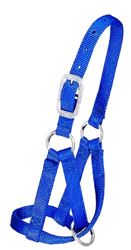 Weaver Leather Goods - Nylon Llama Halter, 3/4", Small, Blue