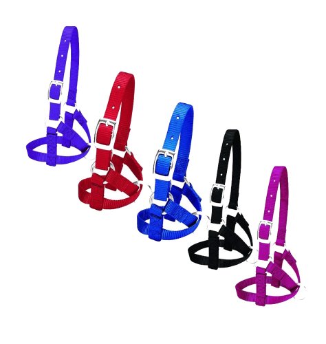 Weaver Leather Goods - Nylon Alpaca Halter, Average, Black, 5/8"