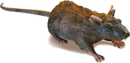 RC Rat
