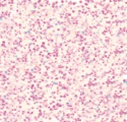 1/2 oz. Stickles Glitter Glue Crystal