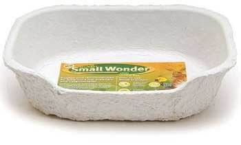 Kittys Wonder Box - Single