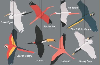 Tropical Birds Combination - Mobile