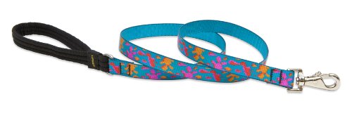 Lupine 3/4" Originals Collection - Wet Paint!, 4' Padded Handle Leash
