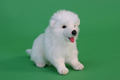 SAMOYED PUPPY 11"L (SP)