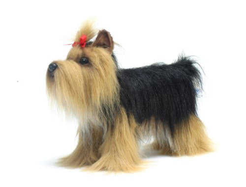 YORKSHIRE TERRIER 14''L