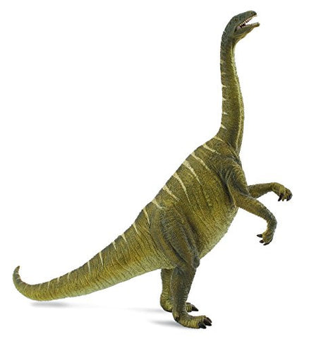 Plateosaurus, L