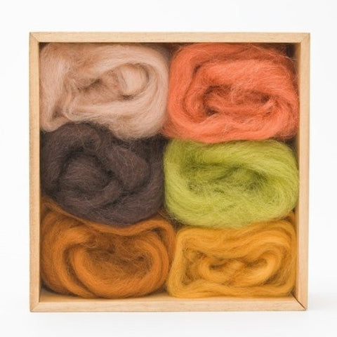 Multi-color Wool Roving Pack - Earth