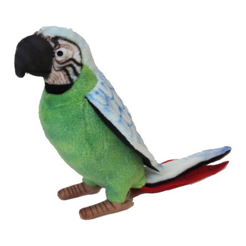 PARROT, GREEN/BLUE 7''