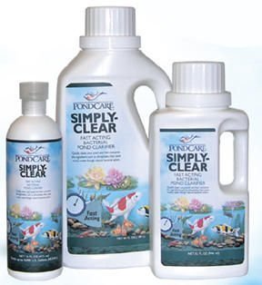 P.CARE 248G SIMPLY CLEAR 32 OZ