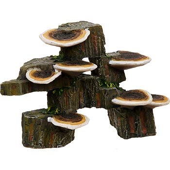 Mushroom on Rock / Brown - Small