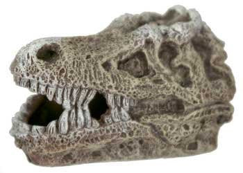 T-Rex Skull - Mini Approximately 2 inches