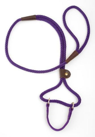 Mendota Dog Walker - Purple, 3/8" x 6ft.