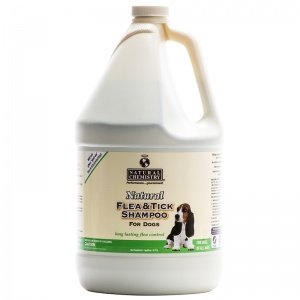 Natural Flea & Tick Shampoo for Dogs Gallon RTU