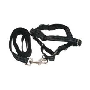 Reflective Easy Walk Harness Medium Black With 3/4 x 6 Leash