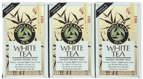 Triple Leaf Tea - 20 bag White Tea 100%