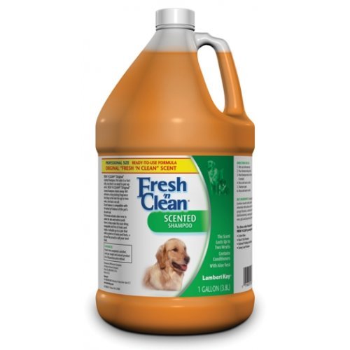 Petag Inc - Fresh-N-Clean Shampoo, Classic, gal