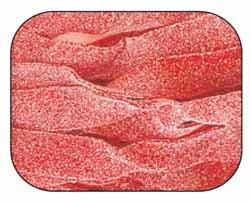 DORVAL TRADING CO., LTD., SOUR POWER BELT WATERMELON BULK 6.6LB