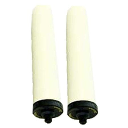 Doulton W9121709 10" Super Sterasyl Ceramic Filter Candle-Pack of 2