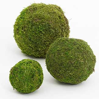 Moss Ball - Green - 6" Small