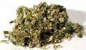 Mugwort Herb - Cut & Sifted - 1 lb