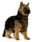 GERMAN SHEPHERD PUP20''L