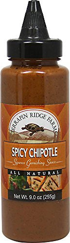 Garnishing Sauce Spicy Chipotle 9.0 FO